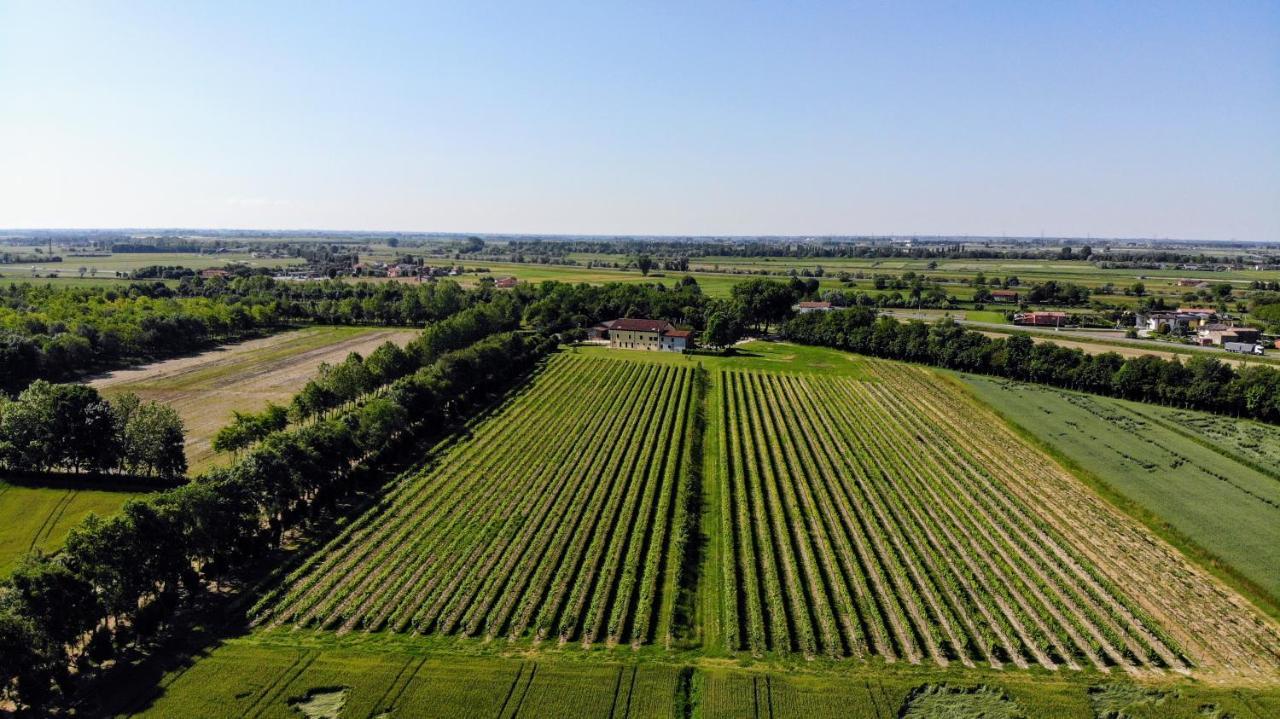 Codevigo Agriturismo Ae Cavane מראה חיצוני תמונה