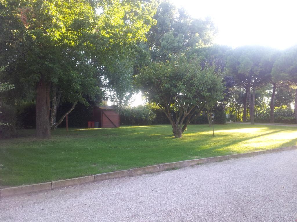 Codevigo Agriturismo Ae Cavane מראה חיצוני תמונה